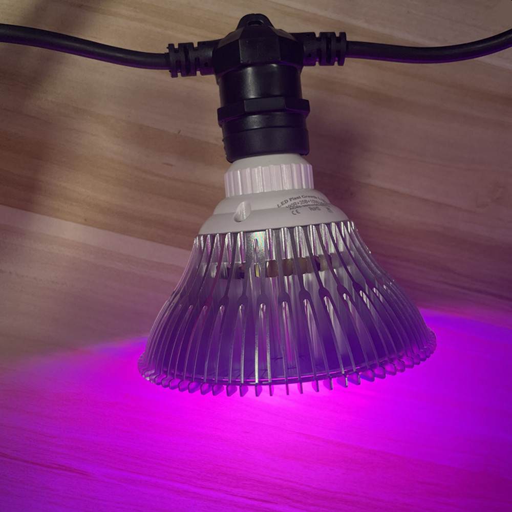 Светодиодная гирлянда 10 м, ко – обзор и цена Lighting Decoration Ideas